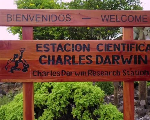 estacion,_cientifica,_charles,_darwin,_galapagos,_actividades,_descanso,_del,_guia